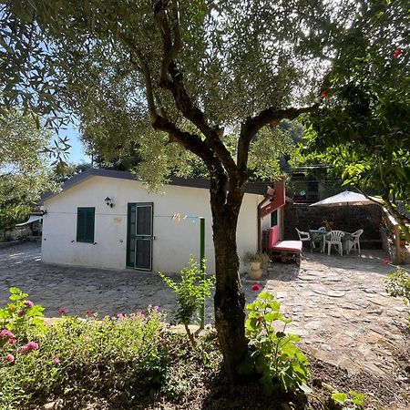 Casa Vacanze Alfano Ascea Buitenkant foto
