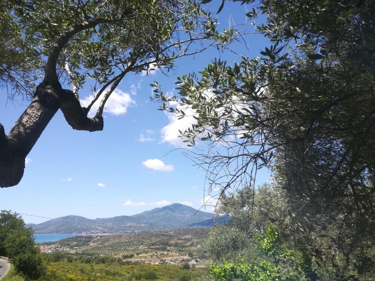 Casa Vacanze Alfano Ascea Buitenkant foto