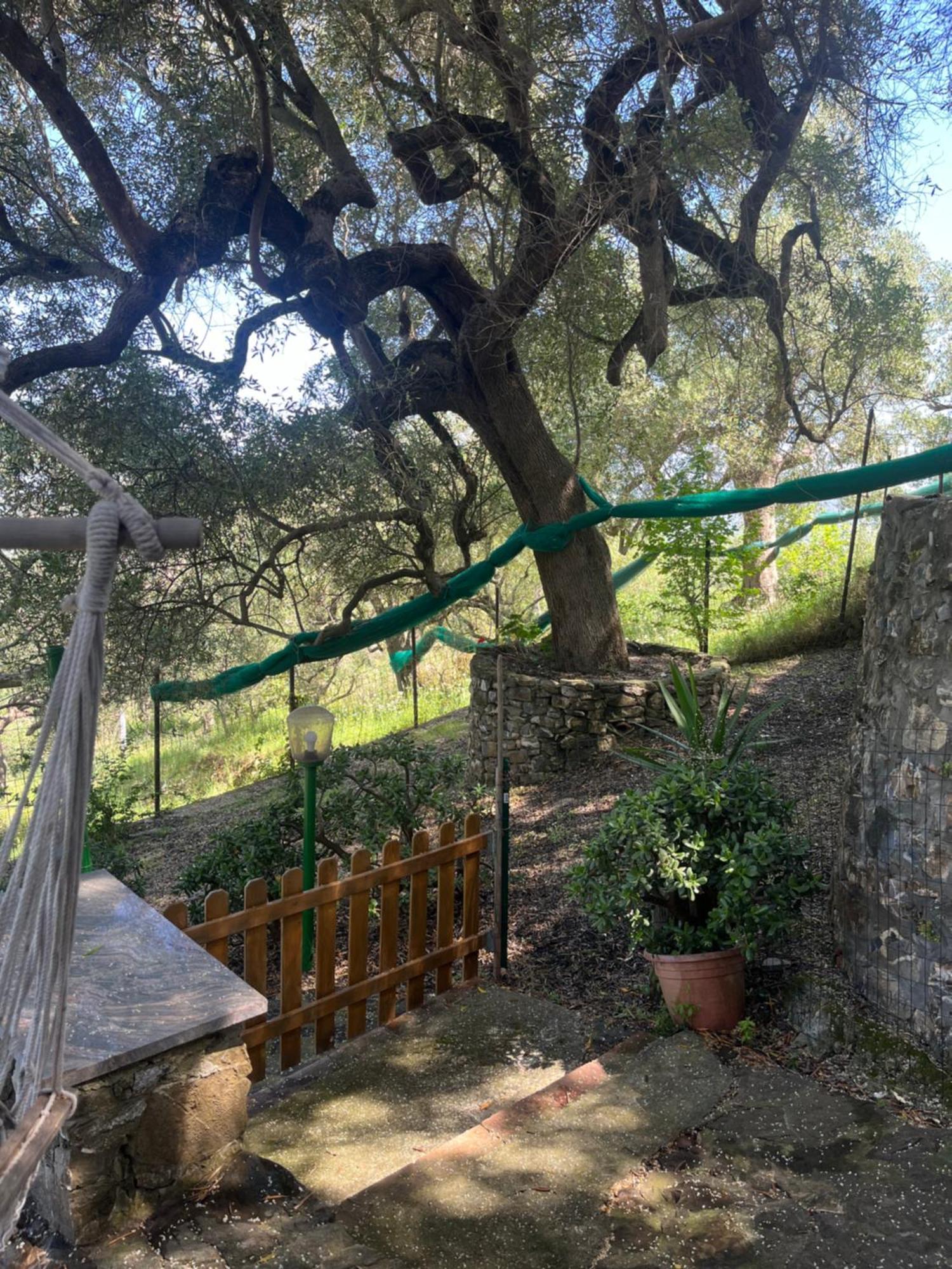 Casa Vacanze Alfano Ascea Buitenkant foto