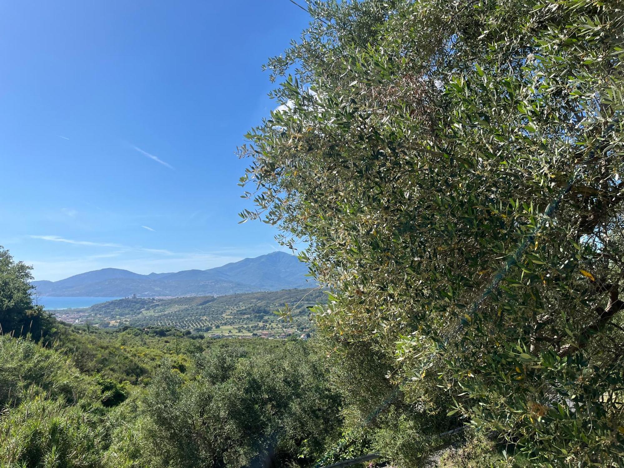 Casa Vacanze Alfano Ascea Buitenkant foto