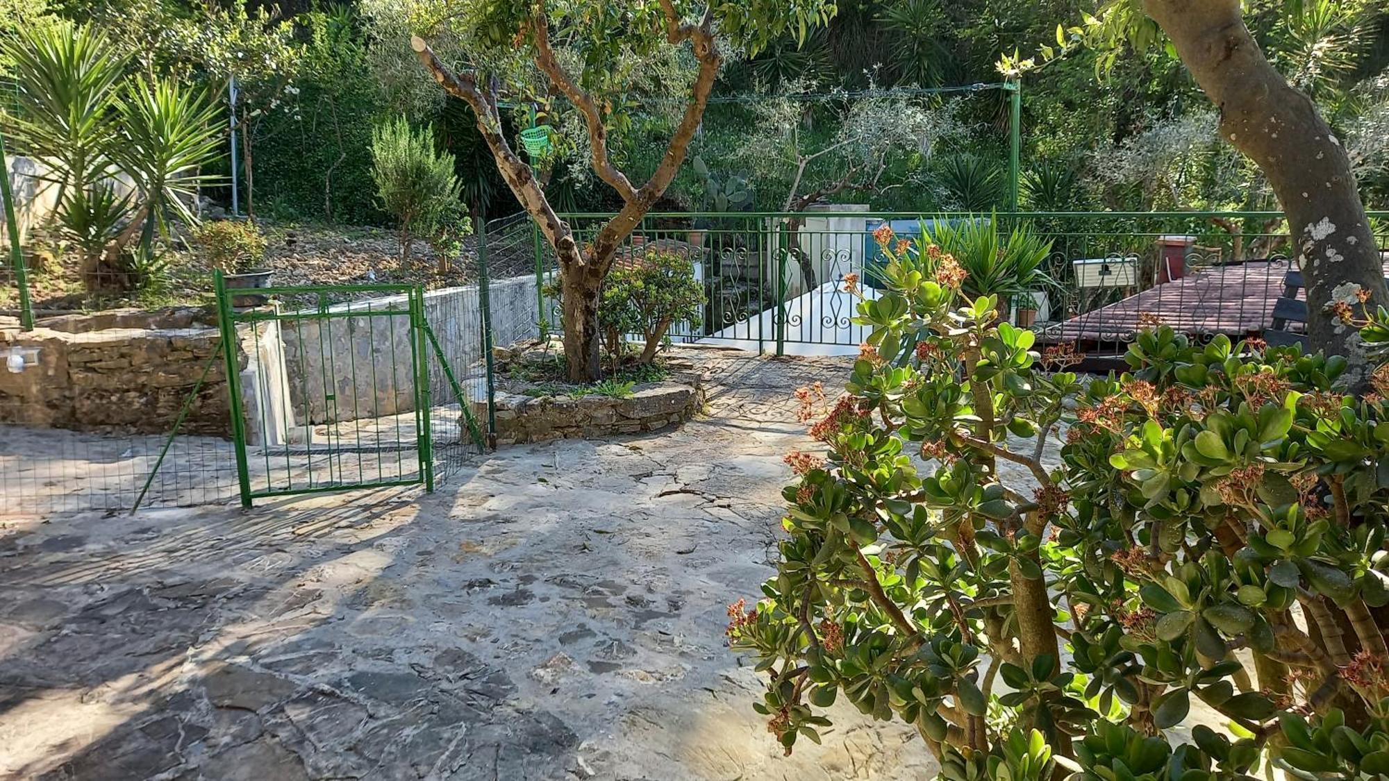 Casa Vacanze Alfano Ascea Kamer foto