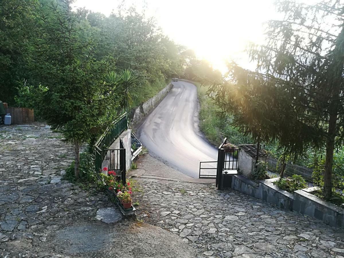 Casa Vacanze Alfano Ascea Buitenkant foto